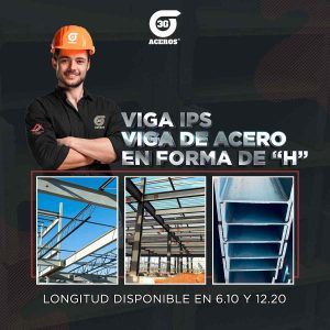 VIGAS IPS